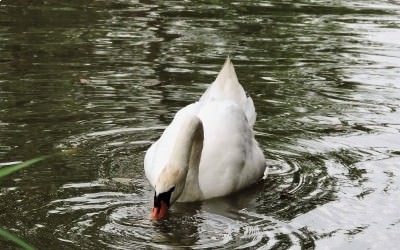 Journée des Sports Nature