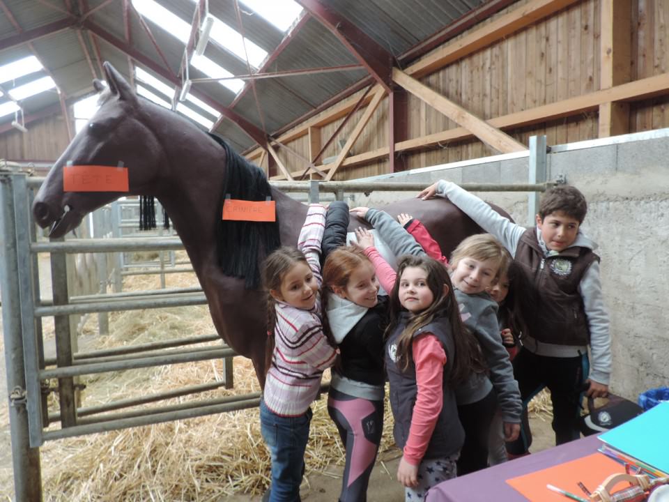 Nouveau en 2018, vacances d'enfants à la ferme!