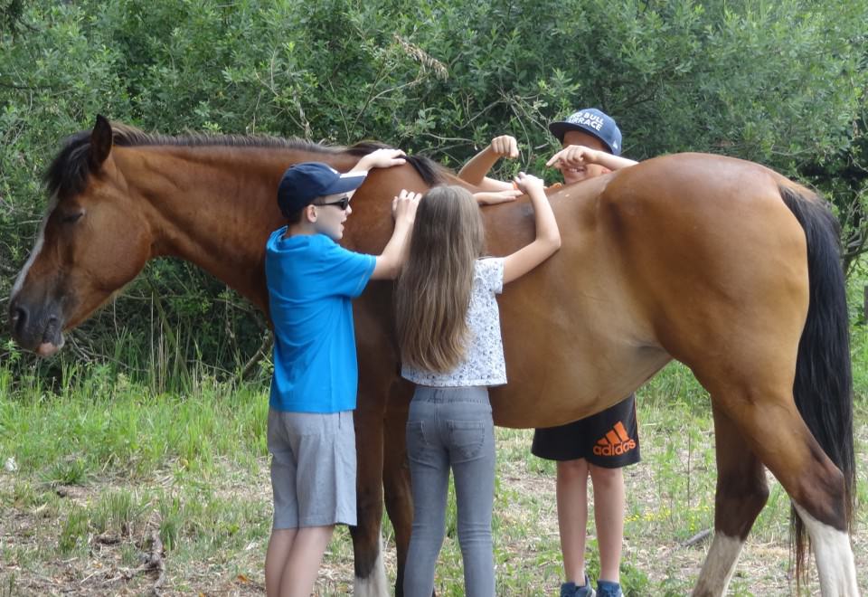 Nouvelle activité poney: Poney'Sens