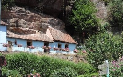 Petit aperçu de la 1ère semaine de vacances à la ferme