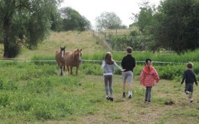 Petit aperçu de la 1ère semaine de vacances à la ferme