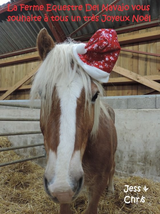 Joyeux Noël à tous!