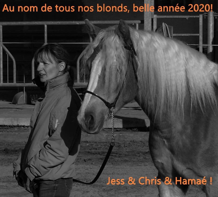 Belle et heureuse année 2020!