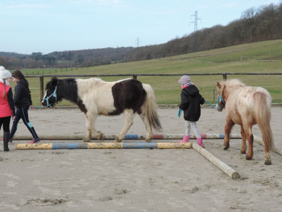 Poney'Sens activité découverte poney c'est la reprise!