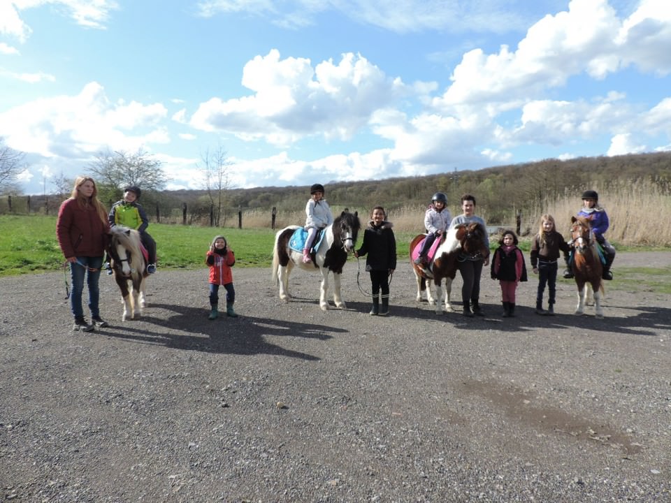 Animations poneys à venir