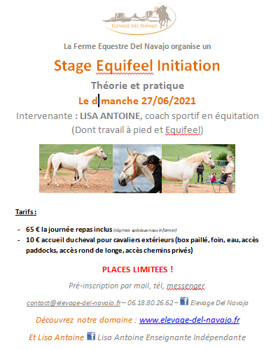 Stage EQUIFEEL Initiation le 27/6/2021