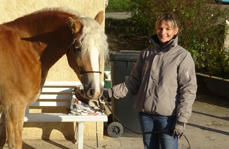 Déléguée Régional AFH et Confirmation des juments haflinger 2021