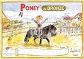 Stages et examens groupe baby-poney et groupe initiation