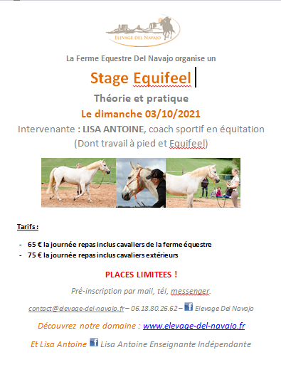 Prochain stage Equifeel le 03/10/2021 Prochain stage Equifeel le 03/10/2021