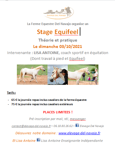 Prochain stage Equifeel le 03/10/2021