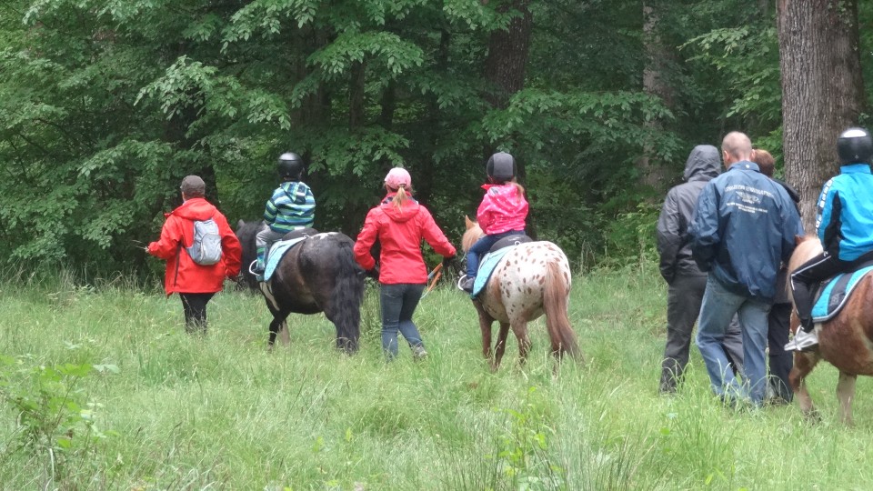 La nouvelle saison baby-poney démarre le 1er septembre