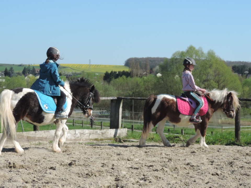 Initiation poney pour les 7/10 ans