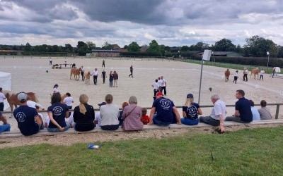 Championnat de France des Haflinger 2021