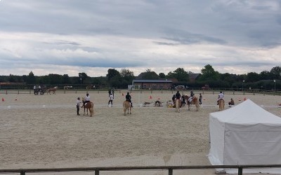 Championnat de France des Haflinger 2021