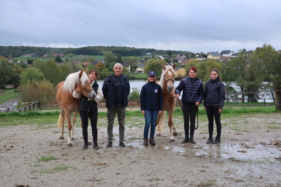 Confirmation des pouliches Haflinger