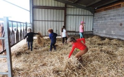 Dernier mini-stage de l'été