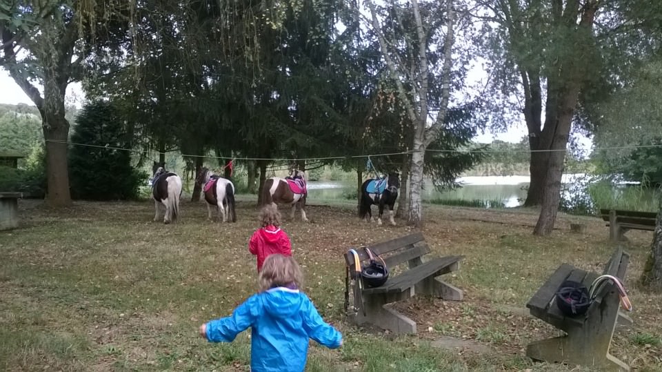 Dernier poney-goûter de l'année Dernier poney-goûter de l'année