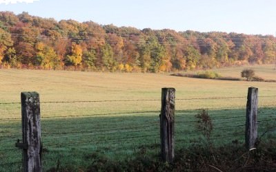 Paysages en couleur d'Automne