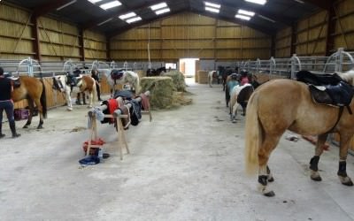 Randonnée équestre 2015, avec 15 cavaliers de l'Ecurie d'Eole.