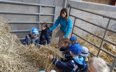 Animation découverte pour enfants le 26/07