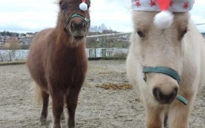 Joyeux Noël A Tous Joyeux Noël A Tous