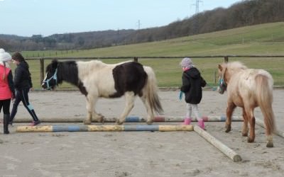 Poney'Sens activité découverte poney c'est la reprise!