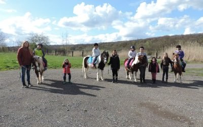 Animations poneys à venir