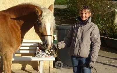 Déléguée Régional AFH et Confirmation des juments haflinger 2021