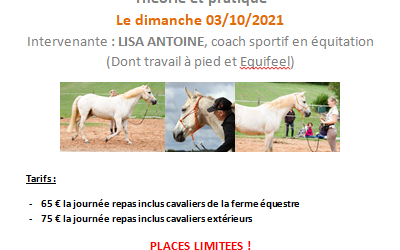 Prochain stage Equifeel le 03/10/2021