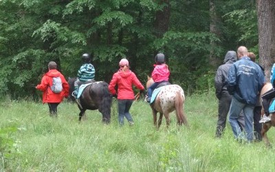 La nouvelle saison baby-poney démarre le 1er septembre