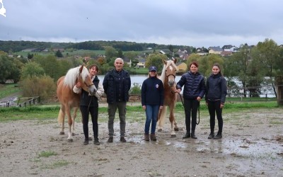 Confirmation des pouliches Haflinger