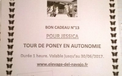 Idée cadeau ! Idée cadeau !