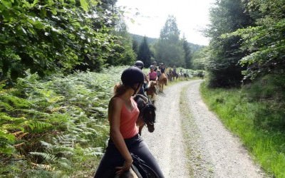 Randonnée équestre 2015, avec 15 cavaliers de l'Ecurie d'Eole.