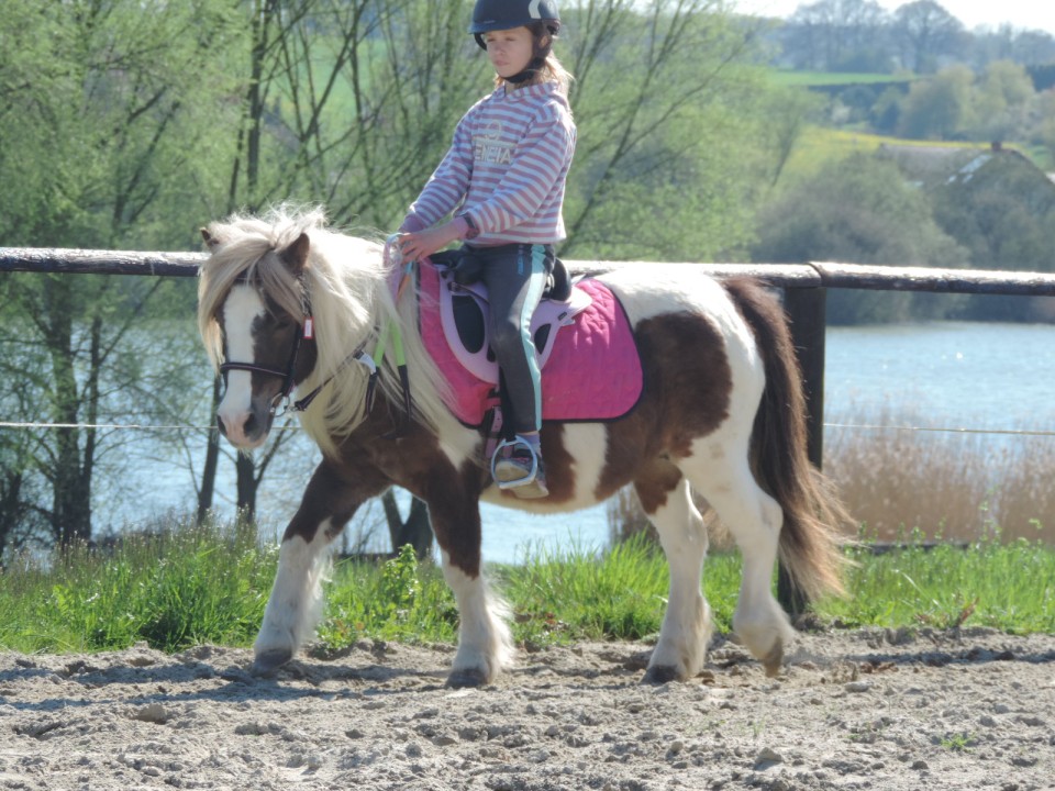 Ateliers Poney