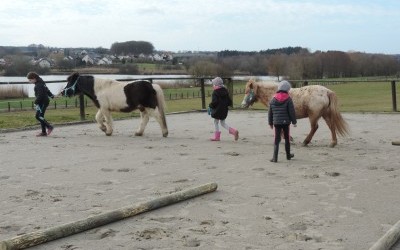 Ateliers Poney