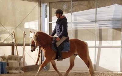 LYOS AX DU NEBOUZAN, HAFLINGER