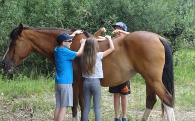 Vacances à la ferme